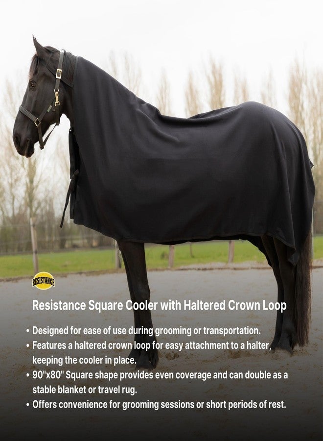 RESISTANCE Long Lasting & Warm Soft Fleece Square Cooler for Horse (90"x80", Black) - Image 2